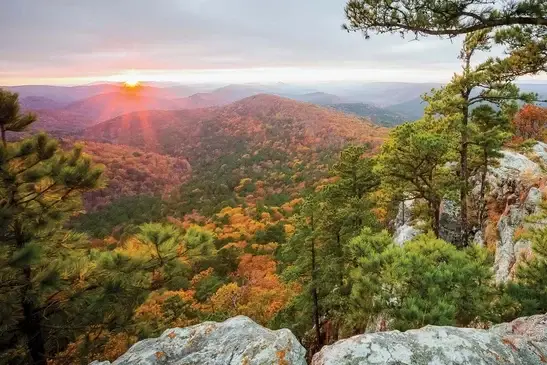 Ouachita National Forest in Oklahoma